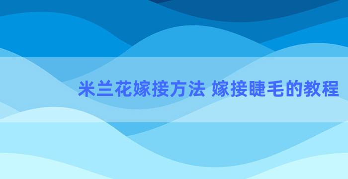 米兰花嫁接方法 嫁接睫毛的教程